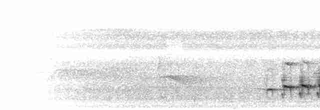 ウスグロアリドリ（saturatior／vicina） - ML301856