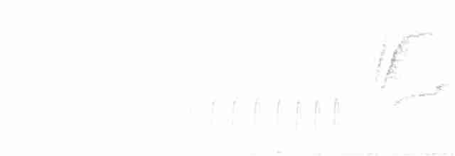 Weißbrauen-Dickichtschlüpfer - ML301901361