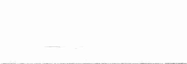 White-bellied Nothura - ML301901441