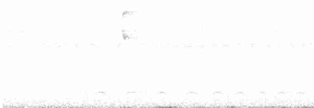 Black-crowned Antshrike - ML301904381