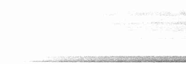 Буробрюхая совка (watsonii) - ML301905