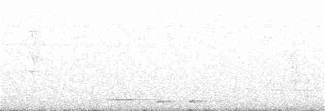 Küçük Kurşuni Güvercin - ML301922601