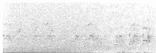 Gray-winged Francolin - ML301931081