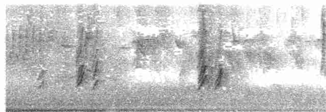Ластівка білогорла - ML301936221