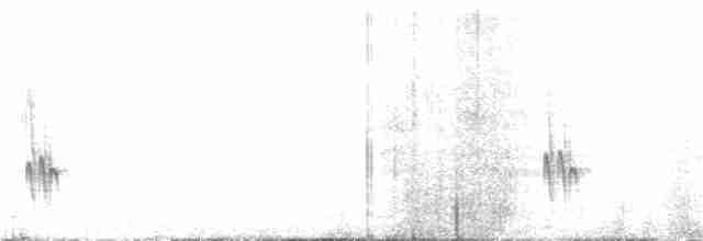 Sincora Antwren - ML301952411