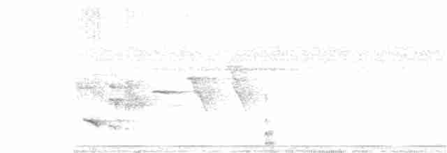 Южноамериканский лапчатоног - ML301967841