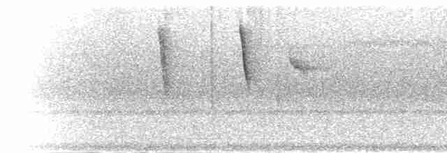 Brown-bellied Stipplethroat - ML301989