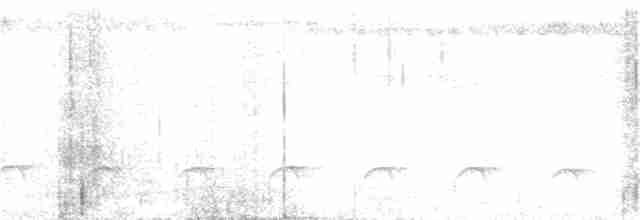 Лінивка-коротун сіроголова - ML302022641