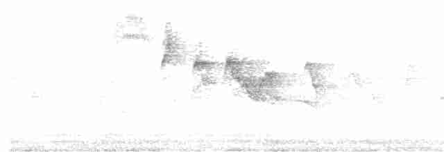 キヅタアメリカムシクイ（coronata） - ML302079161