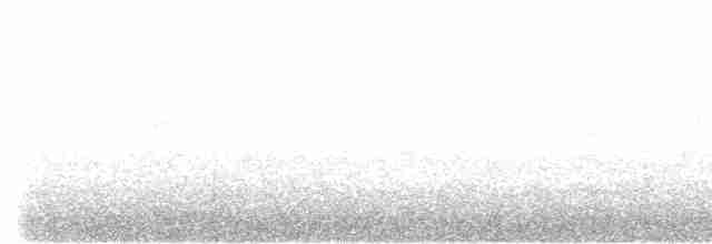 Canada Warbler - ML30212801