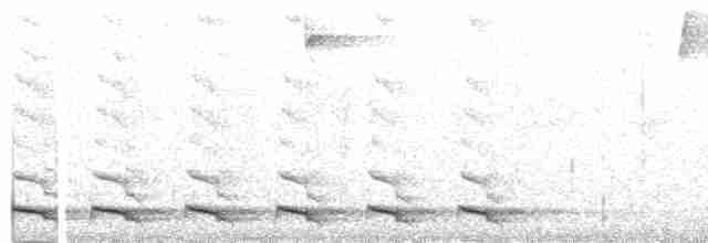 trogon zelenohřbetý - ML302175711