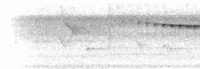 datlíček guyanský - ML302187