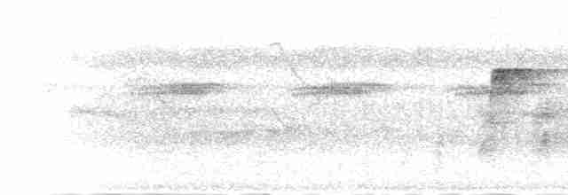 Мухолов-клинодзьоб плямистий - ML302191