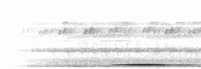 gråpannedue - ML302232