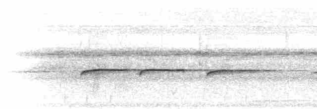 Finsch's Euphonia - ML302315