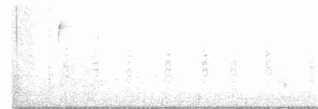 Münzevi Bülbül Ardıcı (faxoni/crymophilus) - ML302347471