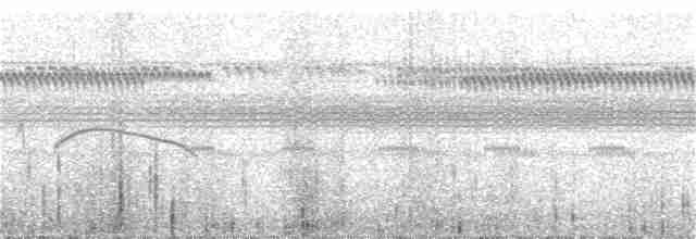 White-tailed Nightjar - ML302416261