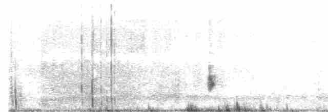 Western Meadowlark - ML302426351