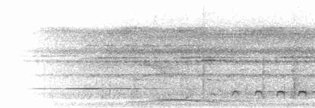 trogon guyanský - ML302451