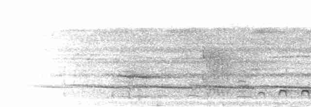 Трогон фіолетововолий - ML302454