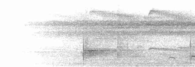 Трогон синьоголовий - ML302501