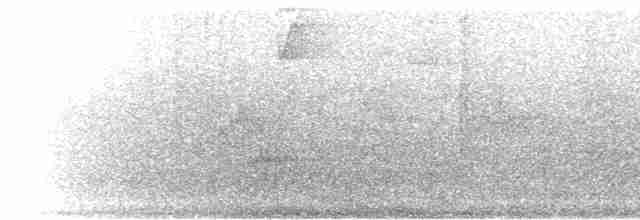 Пестрокрылый мухоед (flavotectus) - ML302547