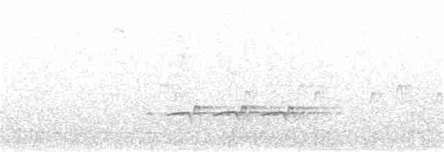Каролинский крапивник - ML302555551