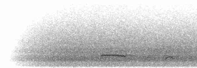 Kara Karıncaavcısı - ML302604