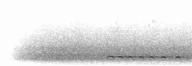 Kara Karıncaavcısı - ML302606