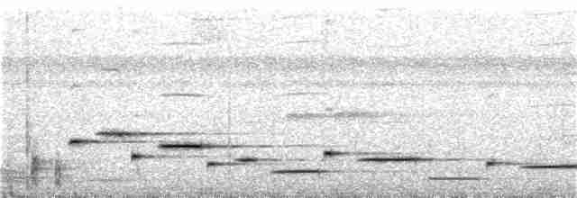 Troglodyte arada - ML302624991