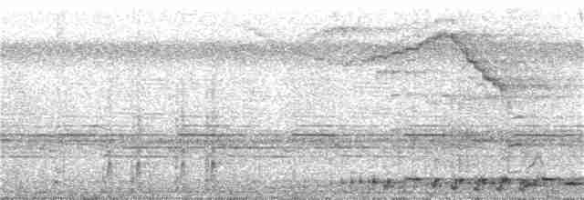 Grünschopf-Stirnvogel - ML302625121