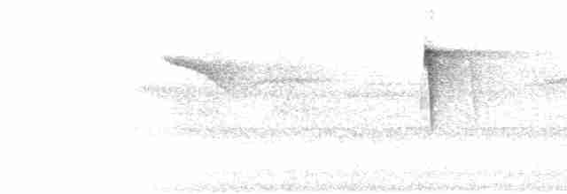 Пестрокрылый мухоед (flavotectus) - ML302673