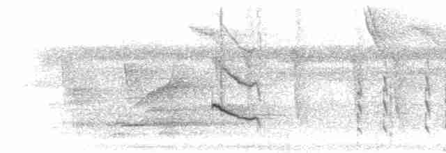 Каатинга плямистокрила [група boucardi] - ML302703