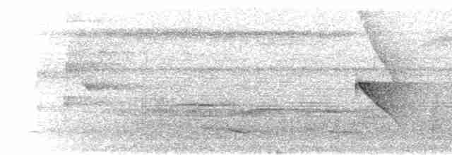 Каатинга плямистокрила [група boucardi] - ML302720