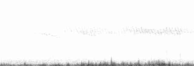 Омелюх звичайний - ML302757591