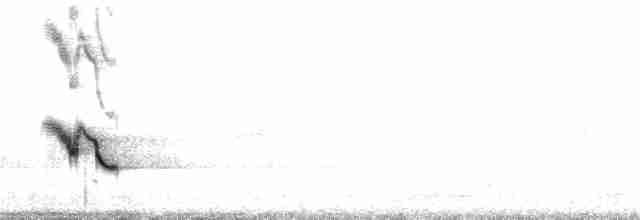 Белоухая кустарница - ML30289351