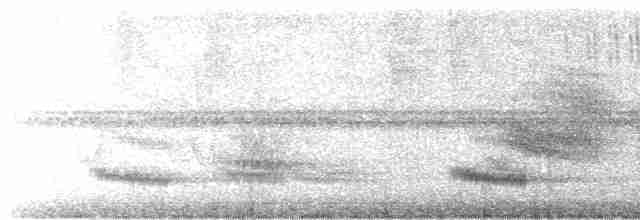 Channel-billed Toucan (Yellow-ridged) - ML302930891
