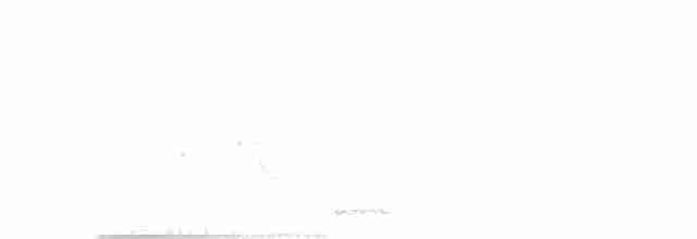 White-cheeked Barbet - ML302932291