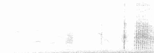 Clamorous Reed Warbler - ML303001701