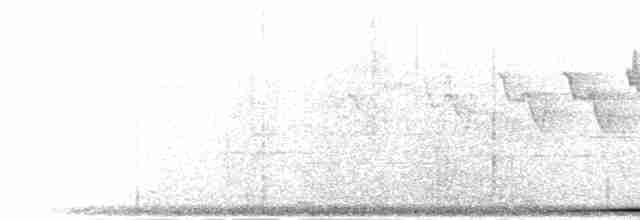 Chiriqui Quail-Dove - ML303018