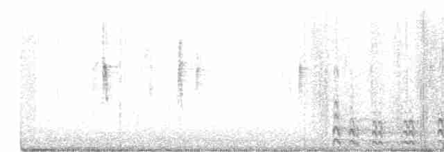 Common Gallinule - ML303039411