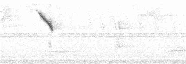 Azure-shouldered Tanager - ML303098221