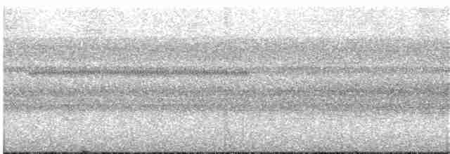 Gray-headed Kite - ML303135341