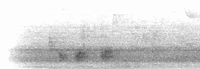 Spot-crowned Barbet - ML303152