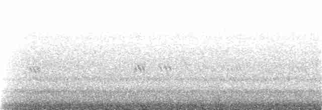 Uzun Kanatlı Kumkuşu - ML303169471
