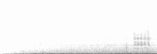 Патагонский курен - ML303172171