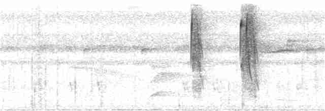 kilenebbtreløper (cuneatus gr.) - ML303180611