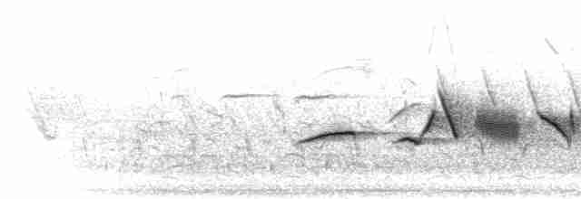 Пестрогрудая овсянка (Лисья) - ML303211