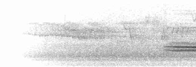 Turuncu Ardıç - ML303316