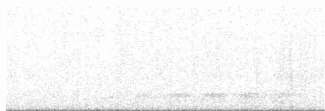 Серый павлиний фазан - ML303316261